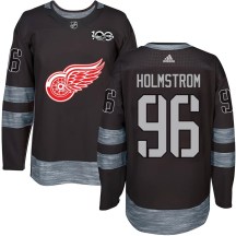 Detroit Red Wings Men's Tomas Holmstrom Authentic Black 1917-2017 100th Anniversary Jersey