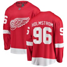 Detroit Red Wings Men's Tomas Holmstrom Fanatics Branded Breakaway Red Home Jersey