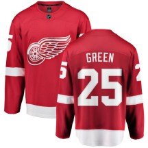 Detroit Red Wings Youth Mike Green Fanatics Branded Breakaway Green Red Home Jersey