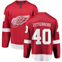 Detroit Red Wings Men's Henrik Zetterberg Fanatics Branded Breakaway Red Home Jersey