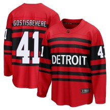 Detroit Red Wings Youth Shayne Gostisbehere Fanatics Branded Breakaway Red Special Edition 2.0 Jersey