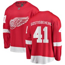 Detroit Red Wings Youth Shayne Gostisbehere Fanatics Branded Breakaway Red Home Jersey