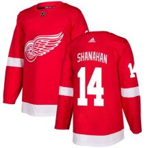 Detroit Red Wings Men's Brendan Shanahan Adidas Authentic Red Jersey